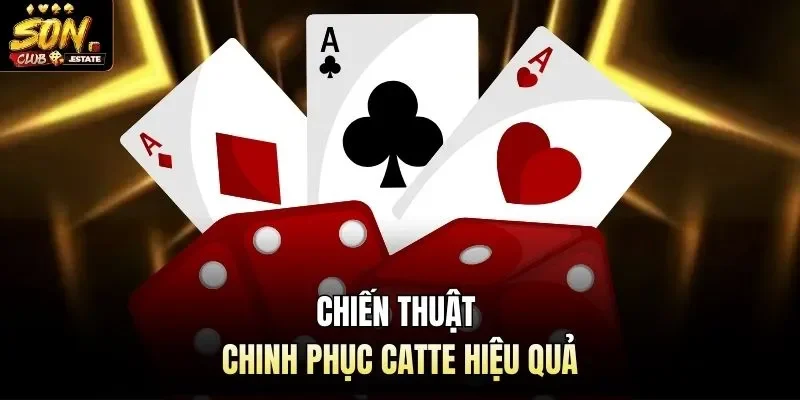Chiến thuật chinh phục Catte hiệu quả