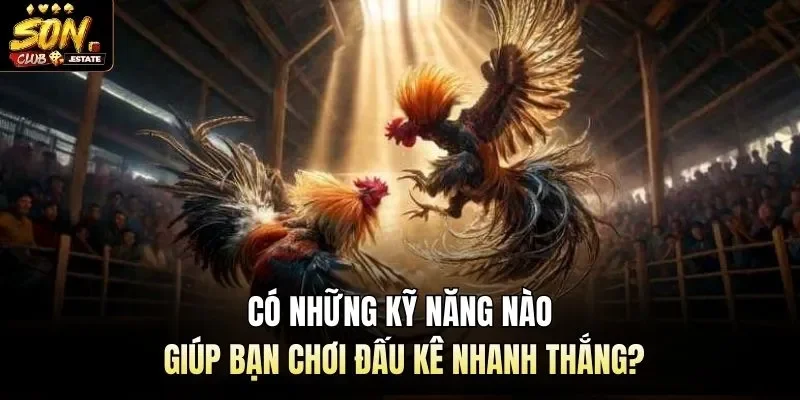Có những kỹ năng nào giúp bạn chơi đấu kê nhanh thắng?