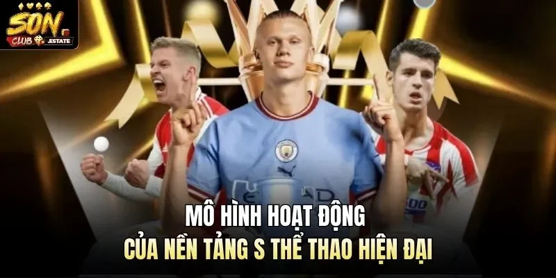 Mô hình hoạt động của nền tảng S thể thao hiện đại 