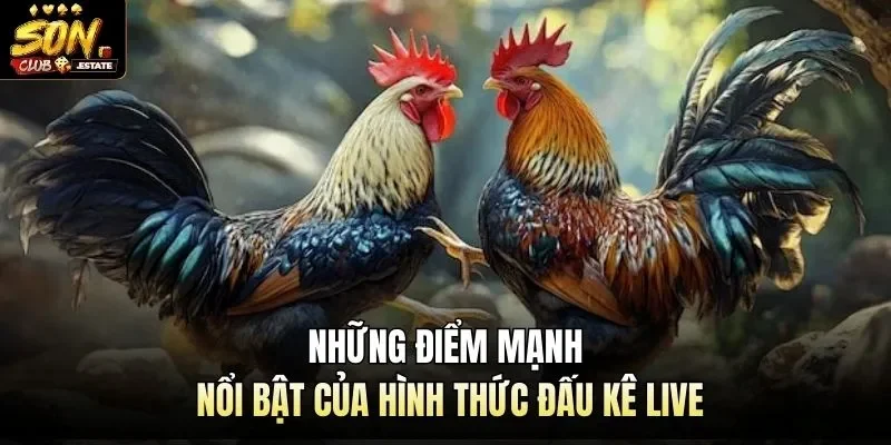 Những điểm mạnh nổi bật của hình thức đấu kê live