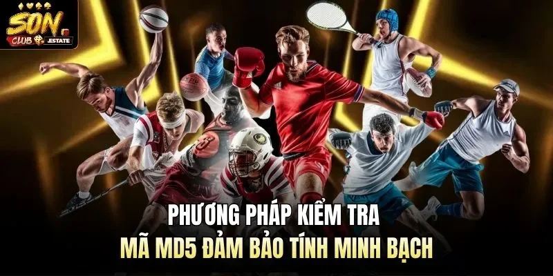 Phương pháp kiểm tra mã MD5 đảm bảo tính minh bạch