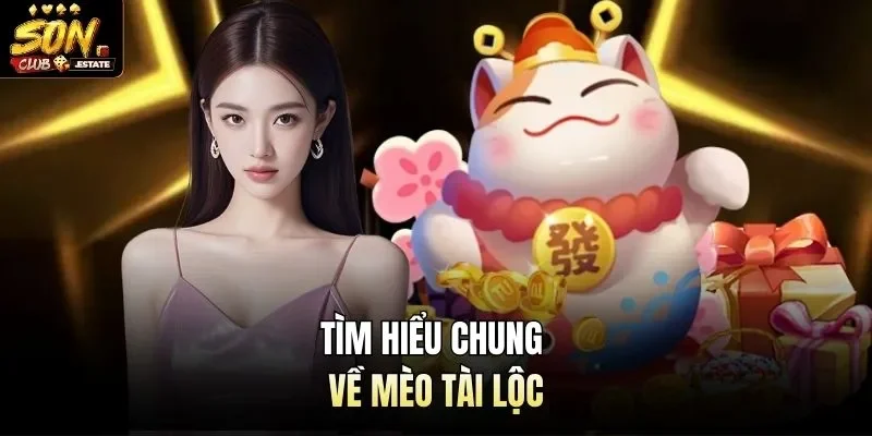 Tìm hiểu chung về mèo tài lộc