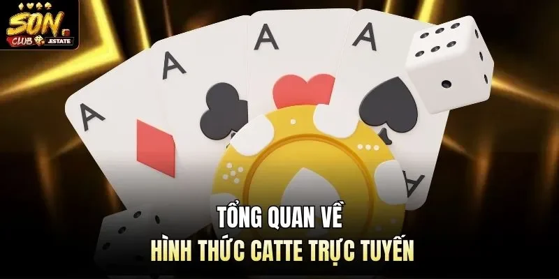 Tổng quan về hình thức catte trực tuyến