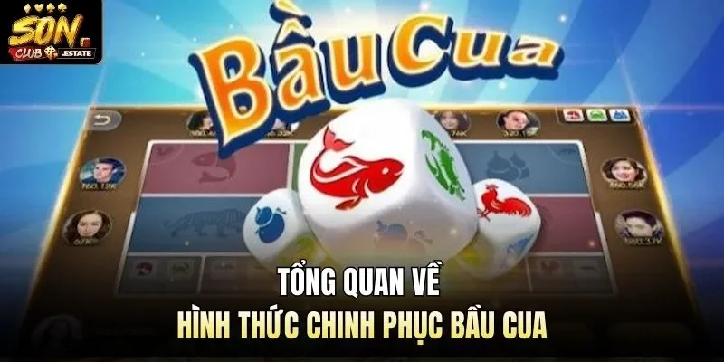 Tổng quan về hình thức chinh phục bầu cua 